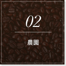 02農園
