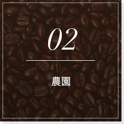 02農園