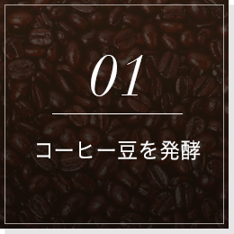 01コーヒー豆を発酵