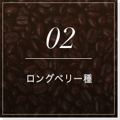 02ロングベリー種