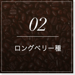 02ロングベリー種