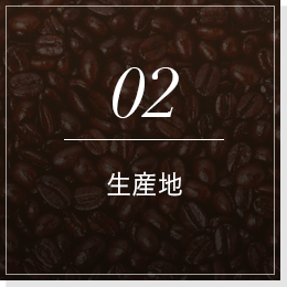 02生産地