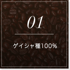 01ゲイシャ種100%