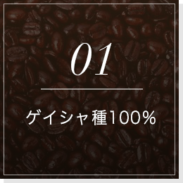 01ゲイシャ種100%