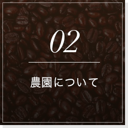 02農園について