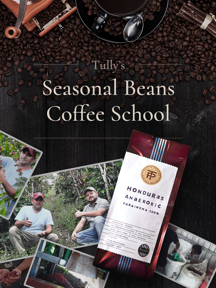 シーズナルビーンズコース コーヒースクール Tully S Coffee タリーズコーヒー シーズナルビーンズコース コーヒースクール Tully S Coffee タリーズコーヒー